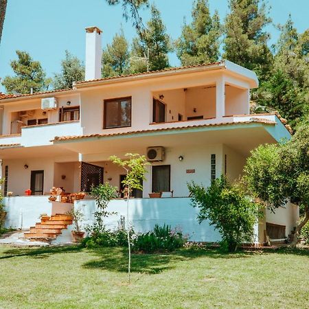 Forest House Near The Sea Sani  Exterior photo